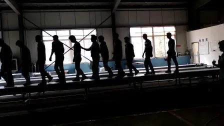 Système de convoyeur droit Hairise pour l'industrie alimentaire et des boissons avec certificat ISO